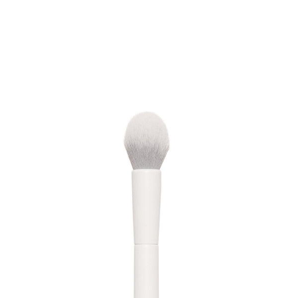 ISOCLEAN Makeup Brush #008 - iso-clean-uk