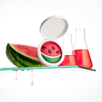 ISOCLEAN'S Scented makeup brush soap compact with scrubbing matt - ISOCLEAN